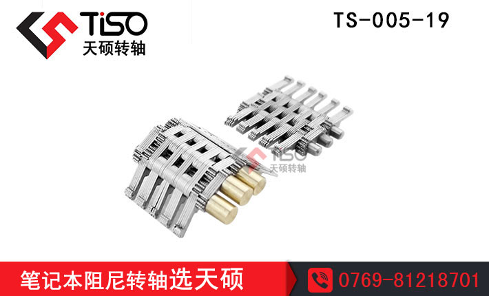 DS|pʽDS|TS-005-19|DSаl